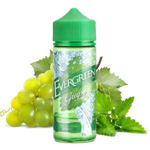 Evergreen - Grape Mint