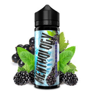 Vovan Menthology Dark Berries Aroma