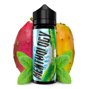 Vovan Menthology Kaktus Aroma